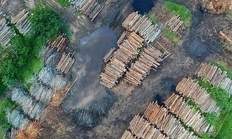 Литва усилит контроль за импортом древесины и лесоматериалов