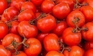Беларусь ввела лицензирование на экспорт томатов