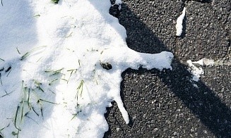 Холодные ночи и теплые дни: какой будет погода в Беларуси в первую неделю весны