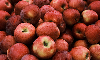 В МАРТ объяснили, когда могут отказать в лицензии на ввоз яблок