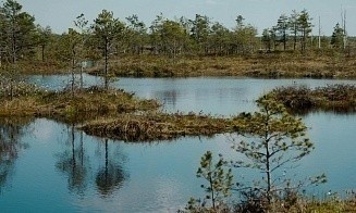 Россия приравняла туры в дружественные страны к внутреннему туризму. Это касается и Беларуси
